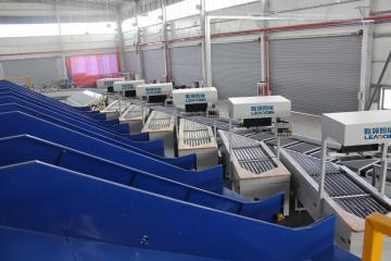 Auto Ring Sorting And Weighing Device