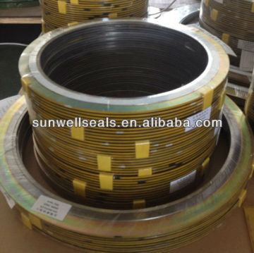 CGI Inner & Outer Rings spiral wound gaskets