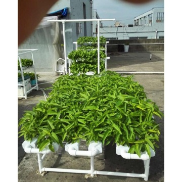 4m/8m Stainless Steel Shelf Flat Hydroponic System