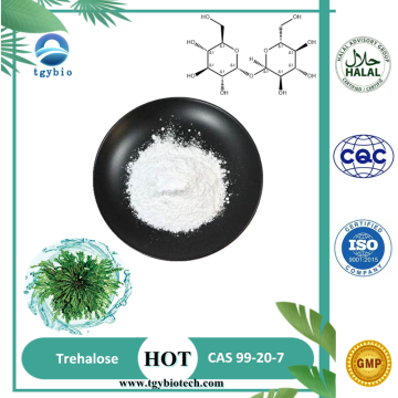 Polvo de trehalosa de grado alimenticio orgánico