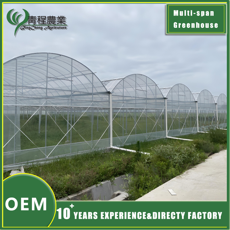 абсталяванне для шматпралётных цяпліц multi span greenhouse equipment