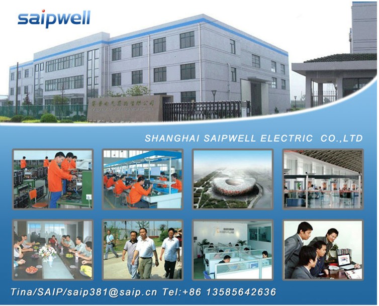 SAIPWELL/SAIP Hot Sale 20A /250V Two ways Electric Push Button Waterproof Switch(SP-2GS)