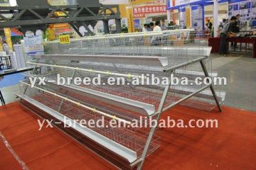 layer quail cages for sale