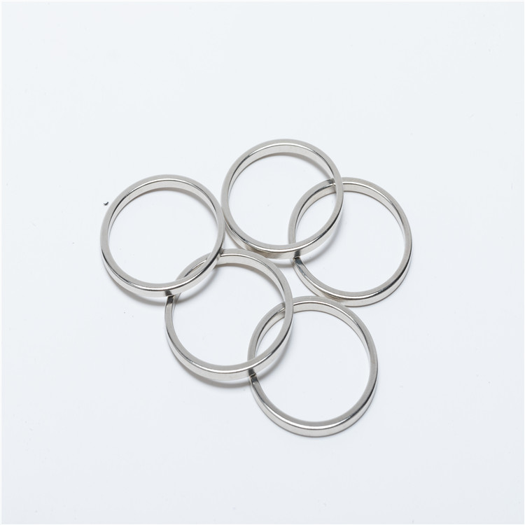 Factory Wholesale High Quality Multipole Neodymium Ring Magnet