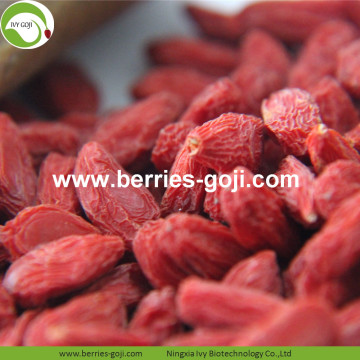 Lose Weight Dried Natural Healthy Tibet Goji Berries