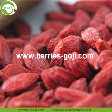 Lose Weight Dried Natural Healthy Tibet Goji Berries