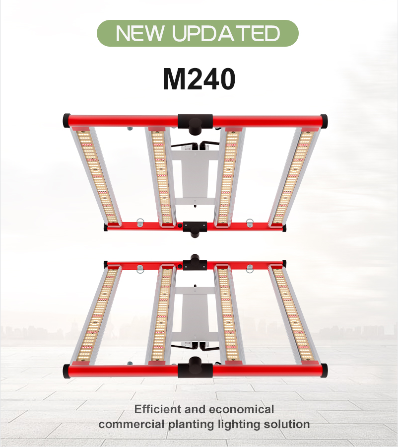 米国在庫高速船積み240W LED成長を導きました