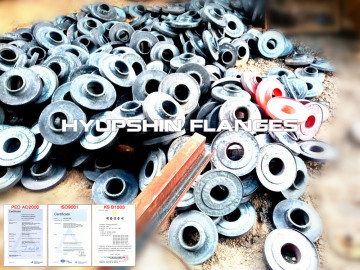 Forging / Forged Pipe Flange Carbon Steel Flanges
