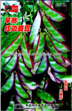 Hot Sale Vegetable Seeds Haricot bean Dolichos lablab Kidney beans Lentil Seeds For Cultivation-Red Edge Lentil