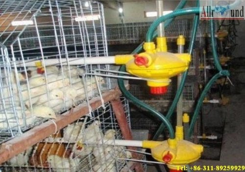 full automatic nipple drinking system for broilers and chicken