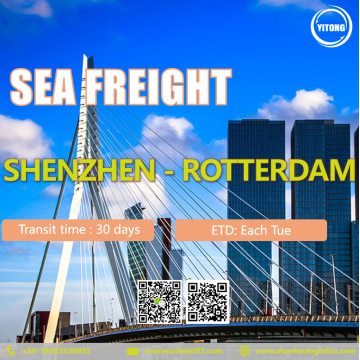 Shenzhen에서 Rotterdam Netherlands까지 국제 해상화물