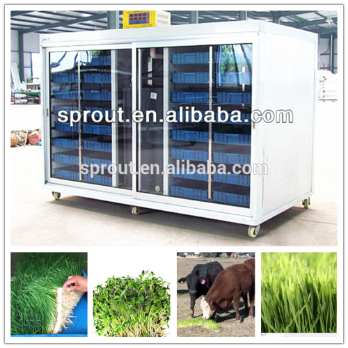 Hydroponics Animal Fodder Machine Green Feed Livestock Fodder sprout machine hydroponic fodder system