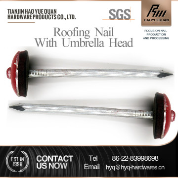 umbrella head roofing nails with galvanized iron washer