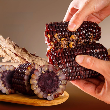 The Collision of Softness and Sweetness! Siping Chocolate - Flavored Fresh - Eating Corn is Here