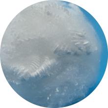 Affordable 7D 15D Polyester Staple Fiber