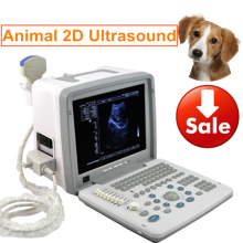 LED Portable VET Ultrasound Scanner