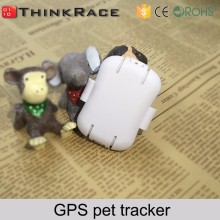 OEM PC and Mobile Phone Tracking Software real time tracking dog track