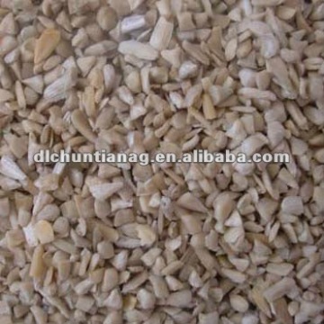 Broken sunflower kernel