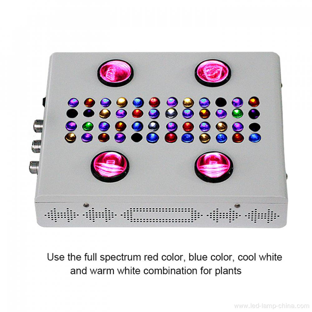 600W Full spectrum grow light