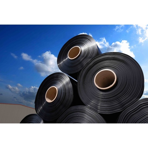 HDPE Liner Ikan Biofloc Geomembranes Harga 30mils