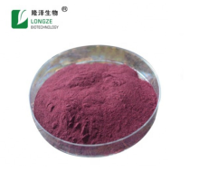 Blueberry Extract 25% Polyphenols Powder For Supplement