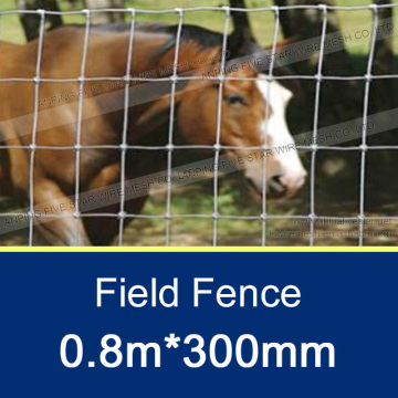 0.8M High Strength Steel Galvanized Field Fence/300mm High Strength Steel Galvanized Field Fence