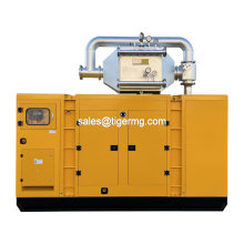 Wood Chips Fired Biomass Gas Electric Power Plant Generator
