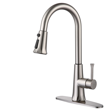 Brushed Gooseneck Kitchen Faucet