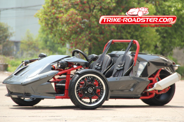 2014 FACTORY PRICE TRIKE ROADSTER/250CC TRIKE ROADSTER TR2501
