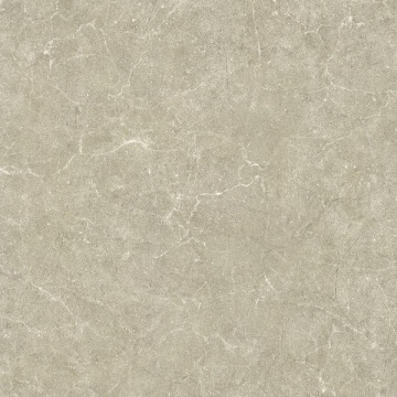 800 * 800 Greige Matt Polimento de Porcelana Esmaltada