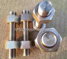 TEFLON COATED STUD BOLTS AND NUTS PTFE Fastener