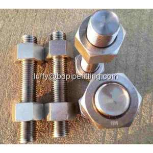 TEFLON COATED STUD BOLTS DAN NUTS PTFE Fastener