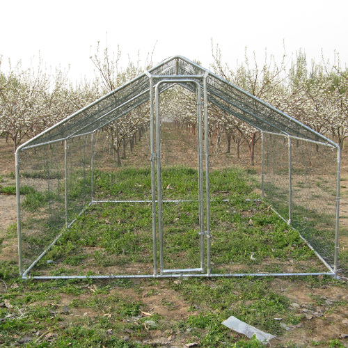 Buiten metalen kippenren Coop Enclosure