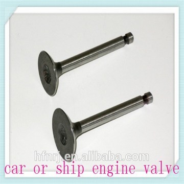 car engine valve