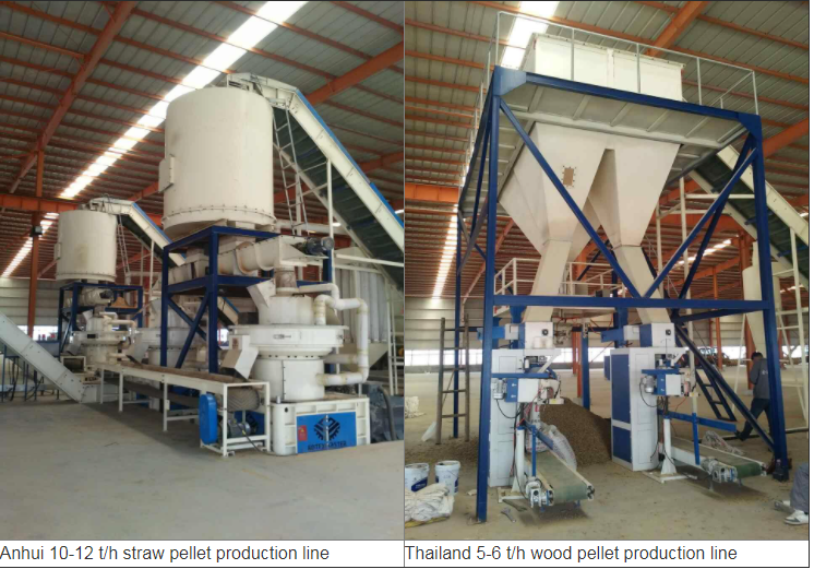 Pellet Production Line Rotex Supply Apple Tree Wood Competitive Price 0.5-50 Ton Customized 12 Months ROTEXMASTER Provided Motor