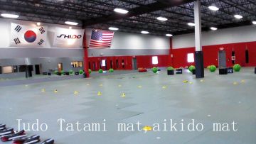 Aikido Mat