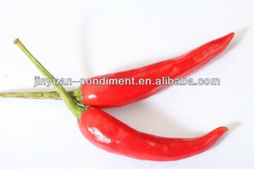 Red Hot Pepper/Chilli Pods