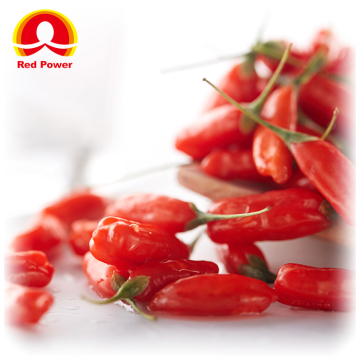 Red Power QIZITO chinese wolfberry ningxia red wolfberry wolfberry dried 10kg