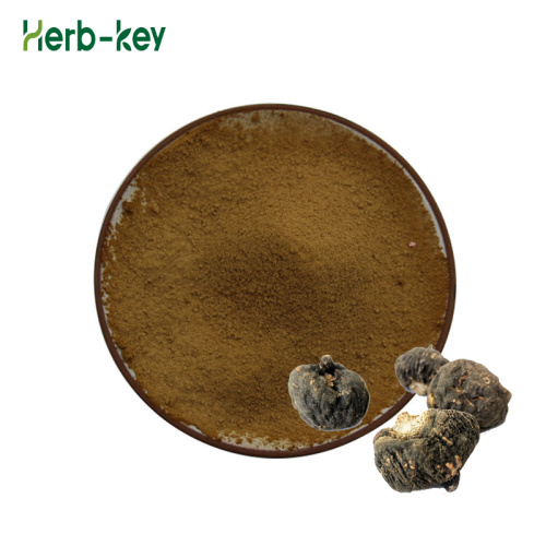 Maca Powder Macamides black maca extract