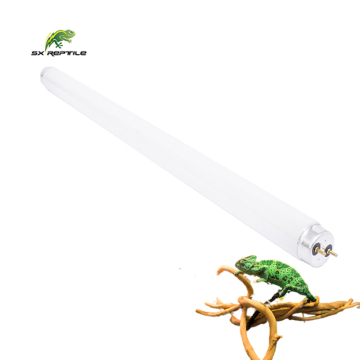 China Reptile Light Exporter - T5 UVB Lamps 39W 24W 3W 54W for Terrariums