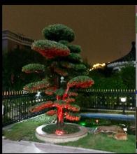 Courtyard Garden Pool Decoration Lights