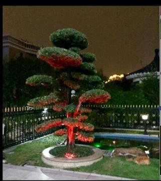 Courtyard Garden Pool Decoration Lights