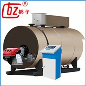 Three Through Type and Horizontal Style Save Energy Boiler