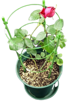 circular plant support Garden supporter for plants