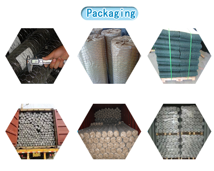 High quality green pvc 1'' hexagonal wire mesh