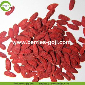 Dieet natuurlijke fruit Super gemeenschappelijke Goji-bessen