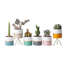 Ceramic Planters: Indoor Decor Sets for Succulents and Cacti