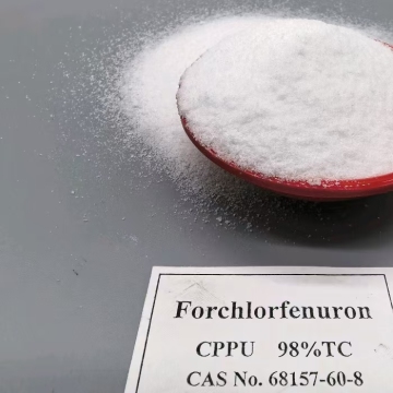 Functions and Application KT30 in Egypt