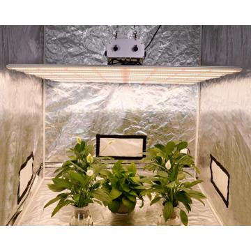 Nieuwste Led Grow Light Plants Lamp te koop