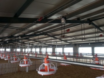 Pan Feeder machinery(controls automatically)